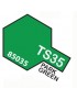 TS35 PARK GREEN