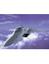 F-22 RAPTOR