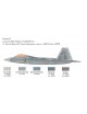 F-22 RAPTOR