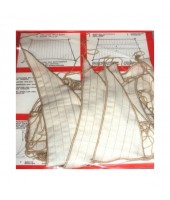 SET DI VELE PER SOLEIL ROYAL