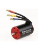 MAX RUNNER 3660 BL-MOTOR INRUNNER 1900KV