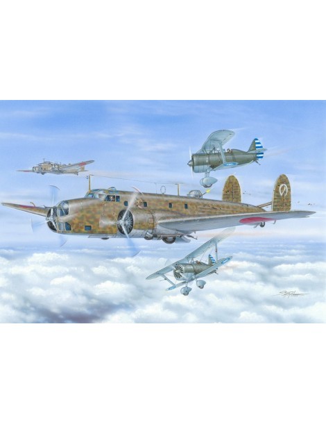 FIAT BR.20 CICOGNA