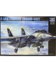 F-14B TOMCAT
